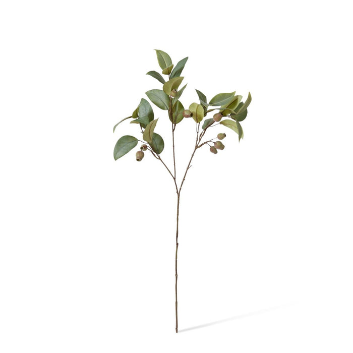 Eucalyptus Gum Nut Spray Pack of 12 - Green, 84cm (H)