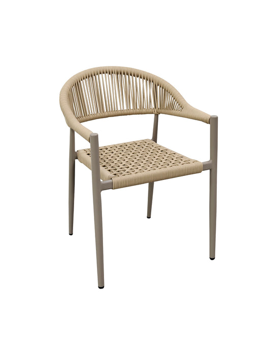 Trinity Dining Chair Champagne (Set of 2)