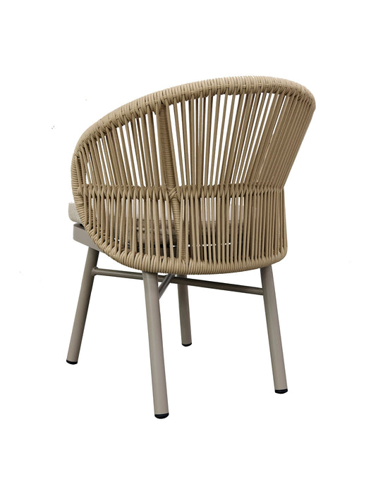 Sterling Dining Chair Champagne (Set of 2)