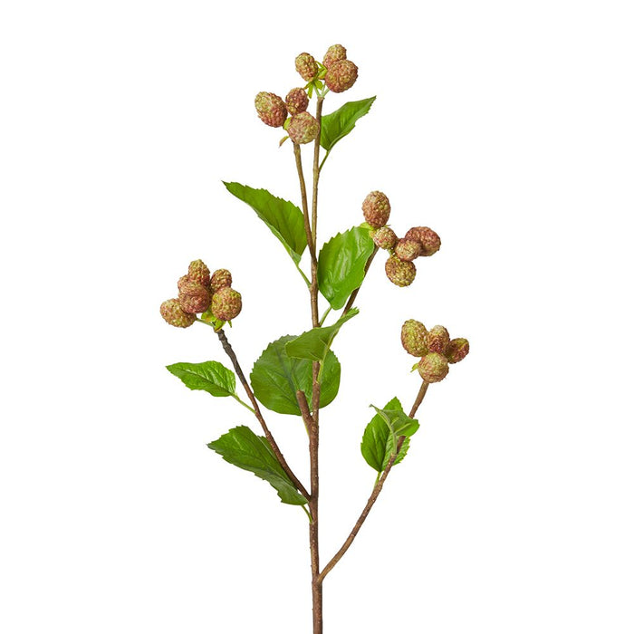 Mulberry Spray Pack of 12 - Green Brown, 66cm (H)