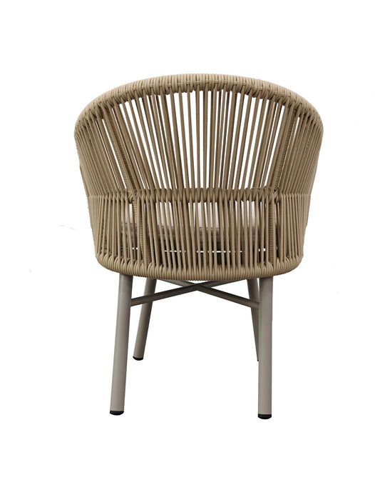 Sterling Dining Chair Champagne (Set of 2)