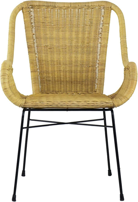 Palmview Rattan Armed Dining Chair