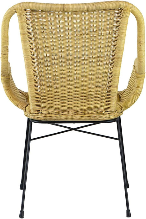 Palmview Rattan Armed Dining Chair