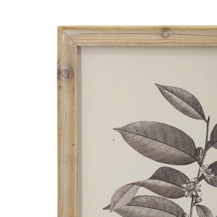 Botanical Wall D√©cor set of 4 Frames 40x53cm each