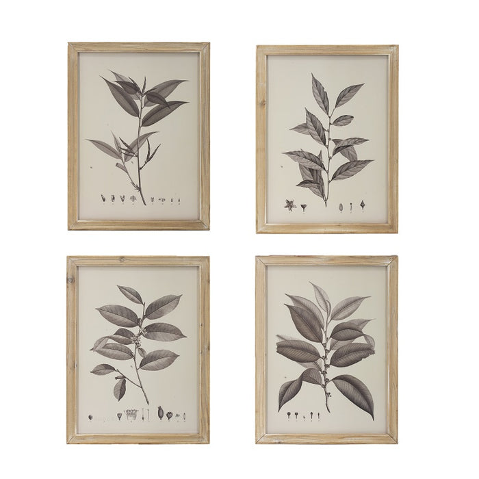 Botanical Wall D√©cor set of 4 Frames 40x53cm each