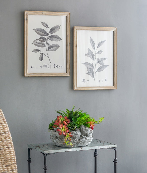 Botanical Wall D√©cor set of 4 Frames 40x53cm each