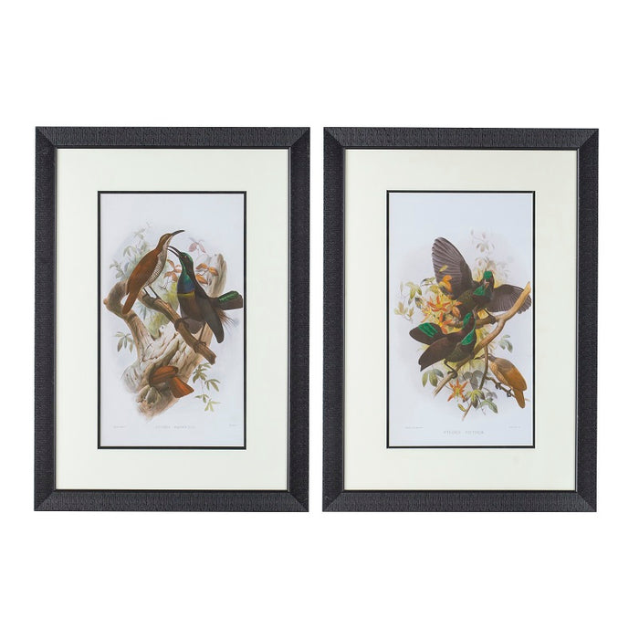 Birds Wall Art set of 2