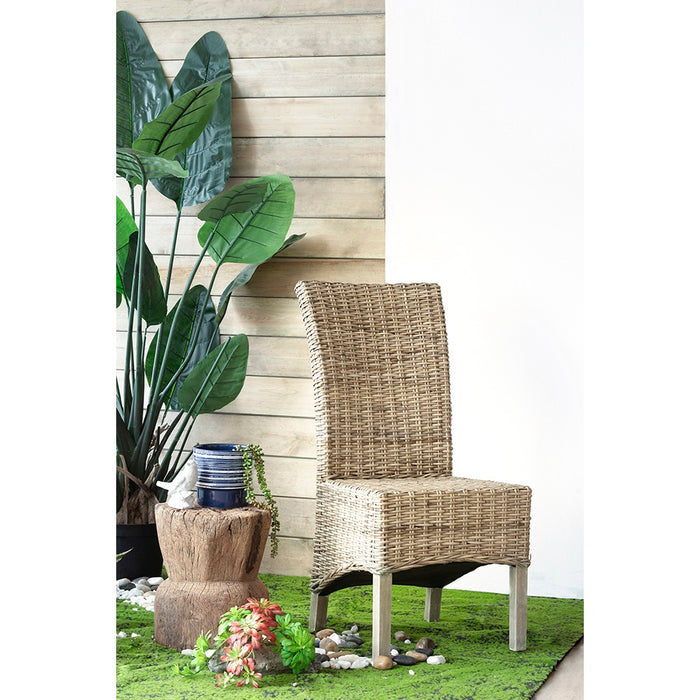 Variegated Rattan Dining Chair