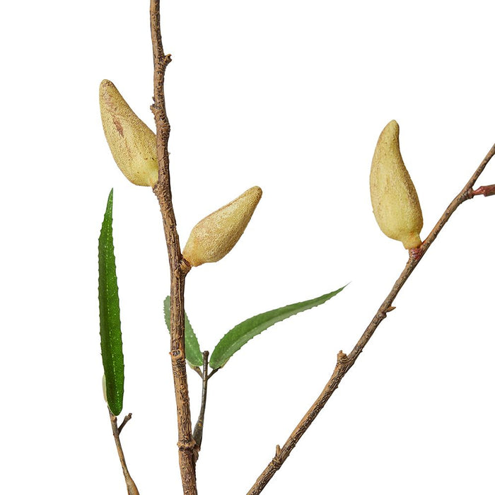 Pod Branch Pack of 12 - Natural, 112cm (H)