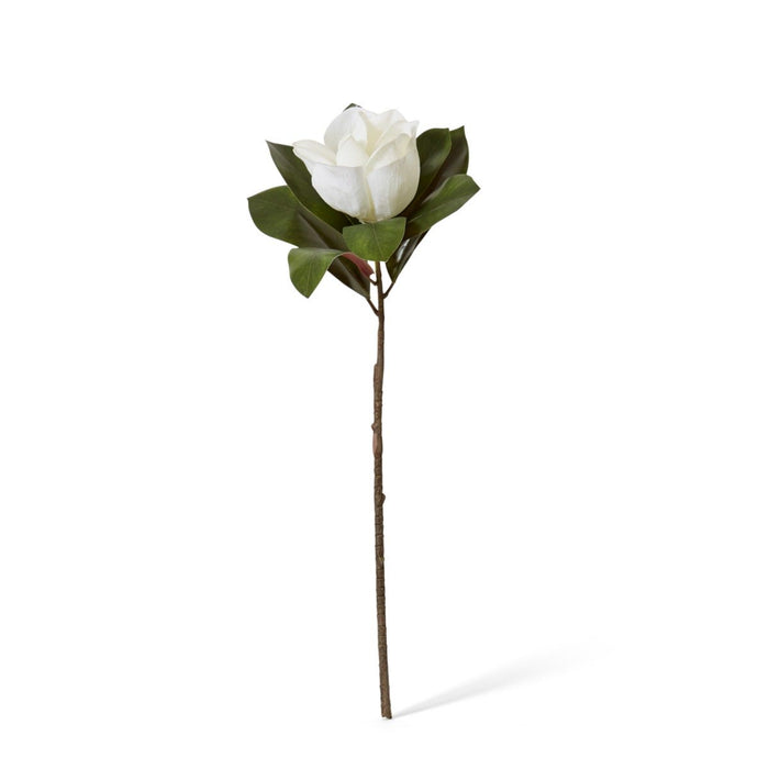 Magnolia Flower Stem Pack of 12 - White, 70cm (H)