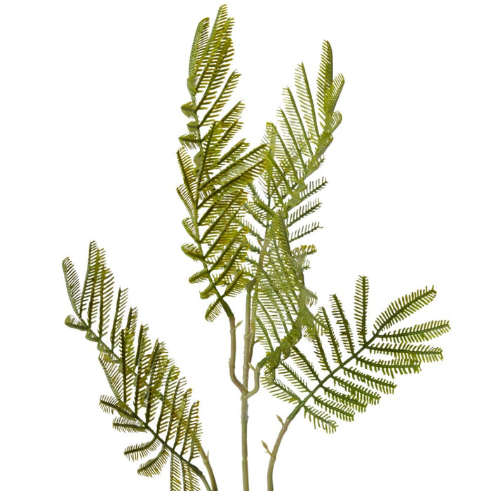 Wattle Leaf Spray Pack of 12 - Green, 61cm (H)