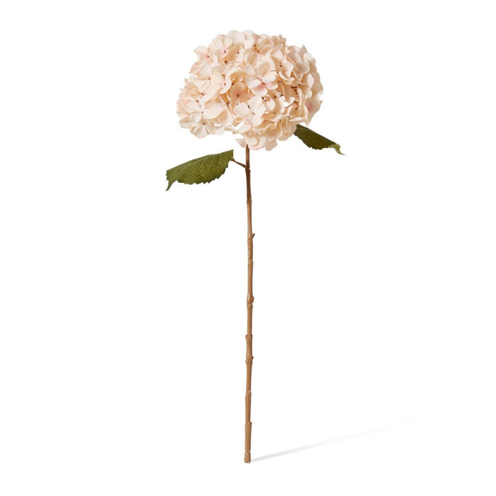 Hydrangea Decor Stem Pack of 12 - Nude Pink, 66cm (H)