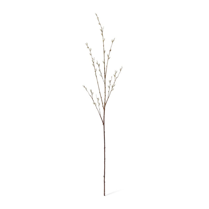 Pussy Willow Branch Pack of 12 - Natural, 127cm (H)
