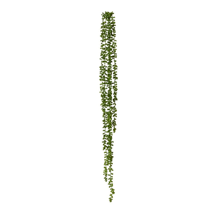 String of Pearls Hanging Plant Pack of 6 - Green, 96cm (H)