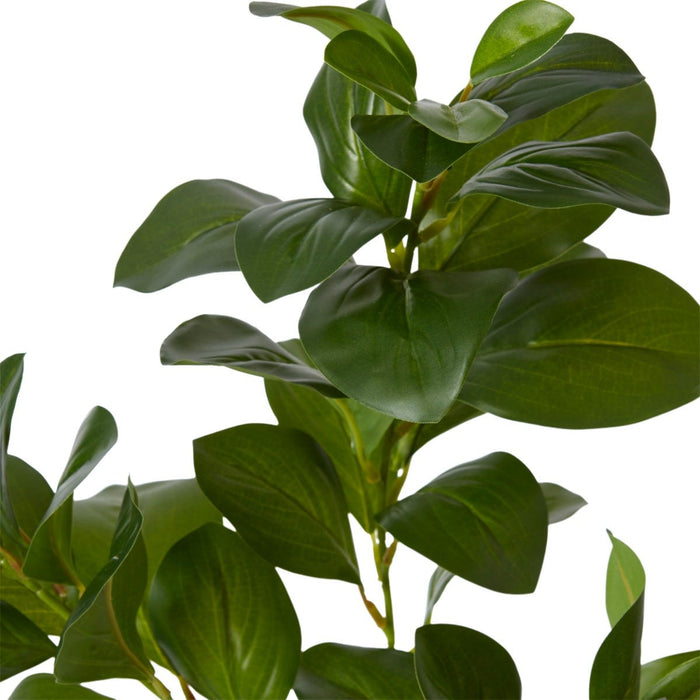 Lush Leaf Spray Pack of 12 - Green, 75cm (H)
