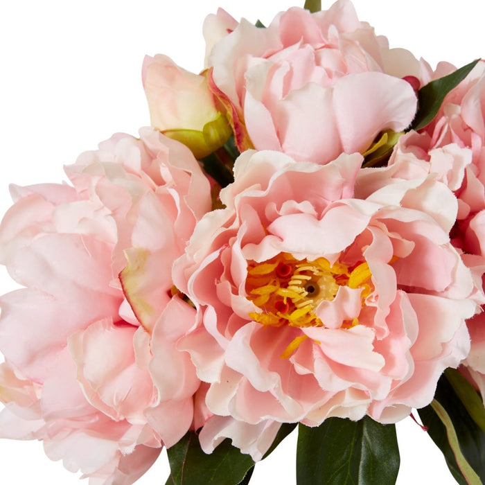 Peony Juliana Bouquet Pack of 6 - Pink, 15cm (H)