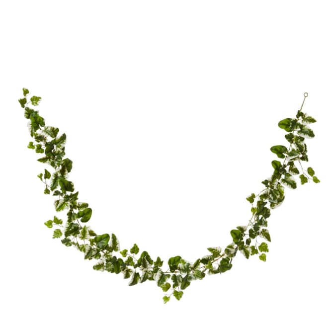 Ivy Kangaroo Garland - Variegated, 180cm (H)