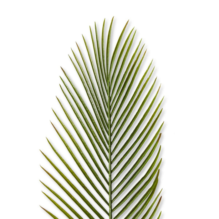 Cycad Leaf Stem Pack Of 24 - Green, 88cm (H)