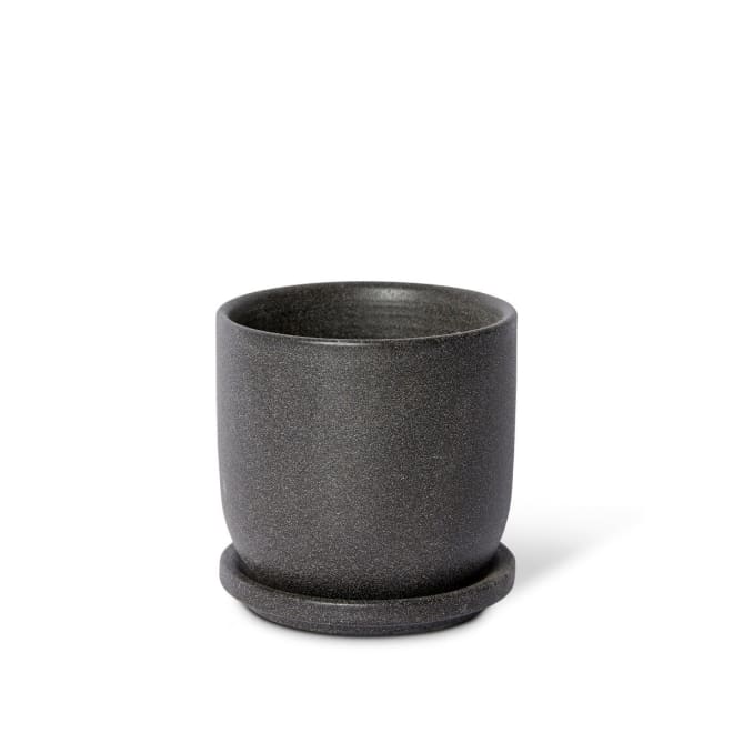 Allegra Pot w Saucer - Black, 12cm (H)