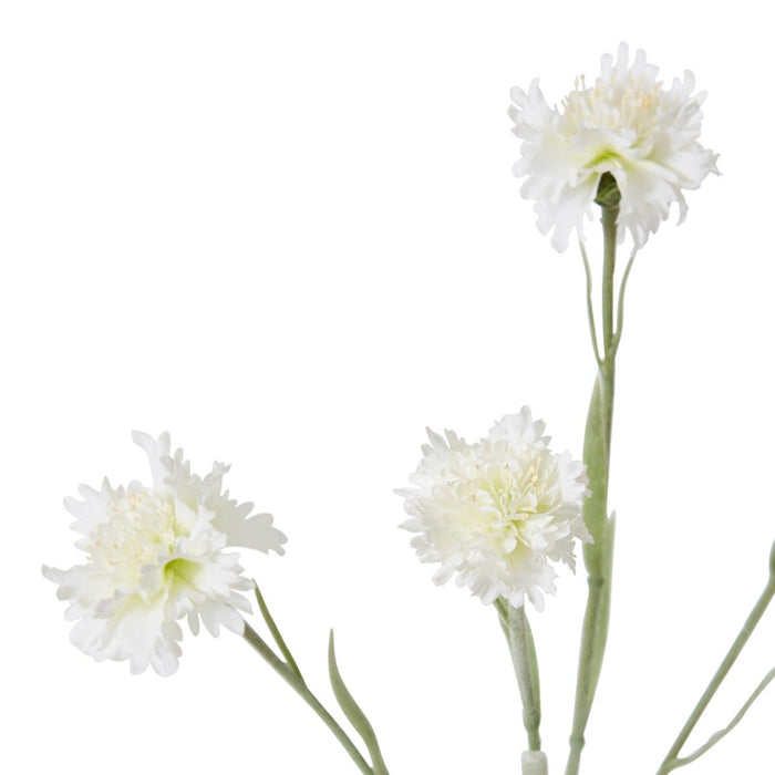 Corn Flower Spray Pack of 12 - White, 61cm (H)