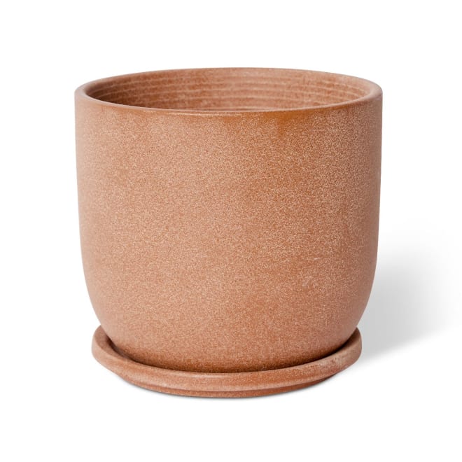 Allegra Pot w Saucer - Terracotta, 18cm (H)