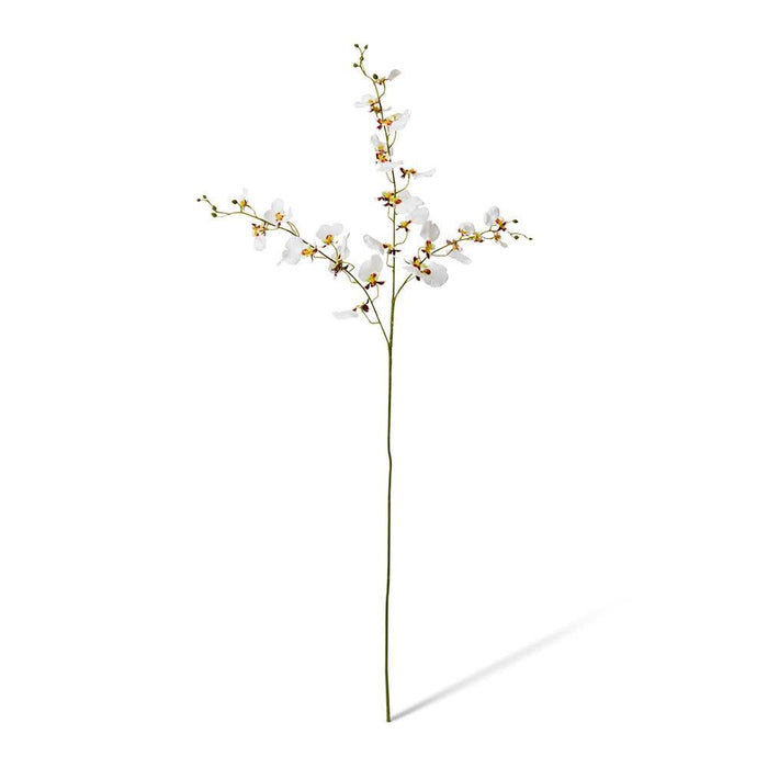 Dancing Orchid Spray (RT) Pack of 12 - White, 97cm (H)