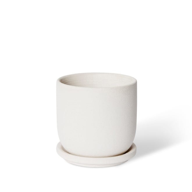 Allegra Pot w Saucer - White, 12cm (H)