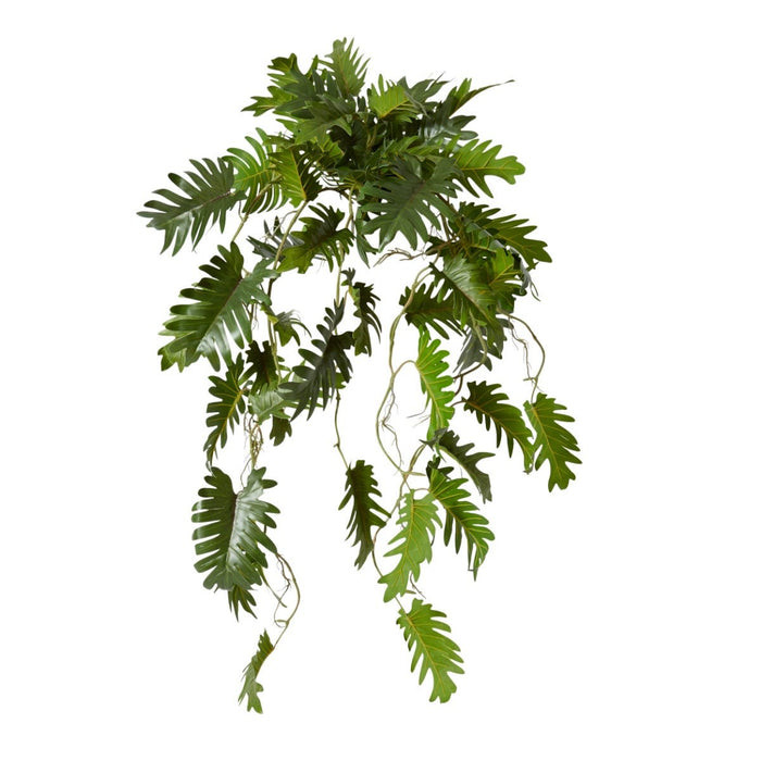 Philodendron Hanging Plant Pot - Green, 84cm (H)