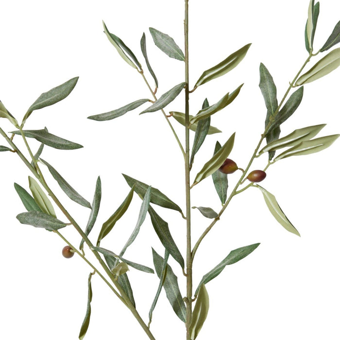 Olive Grand Branch Pack of 12 - Grey Green, 129cm (H)