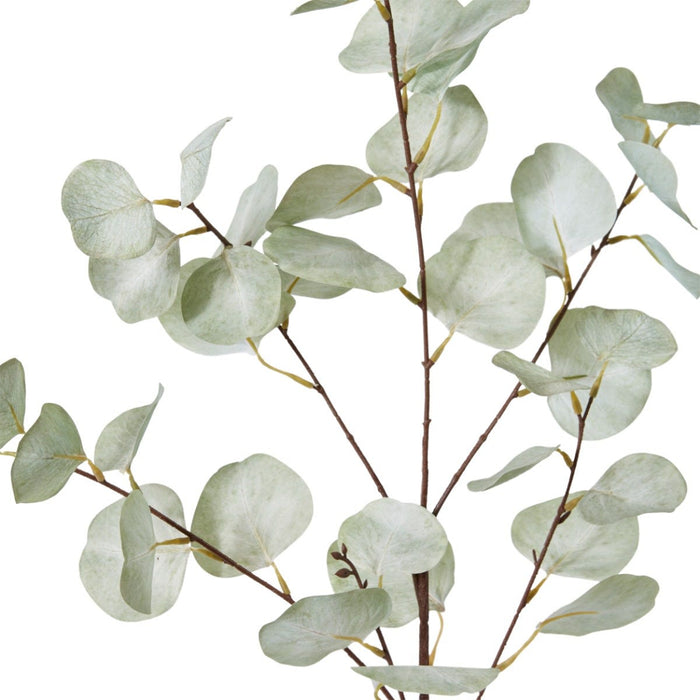Eucalyptus Dollar Spray Pack of 12 - Light Green, 90cm (H)