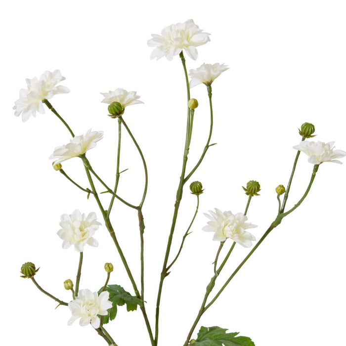 Dahlia Princess Spray Pack of 12 - White, 69cm (H)
