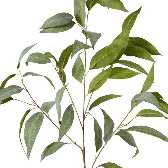 Eucalyptus Spray Pack of 12 - Grey Green, 94cm (H)