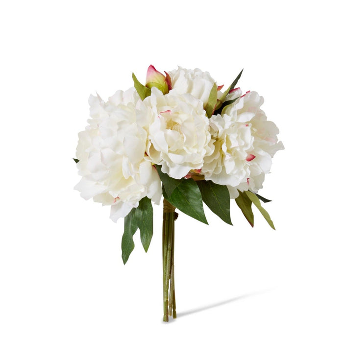 Peony Juliana Bouquet Pack of 6 - White, 15cm (H)