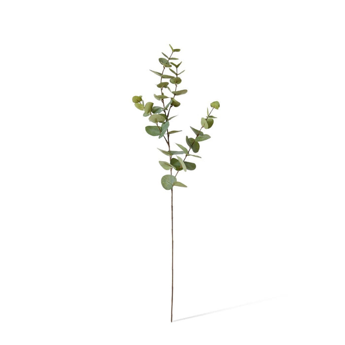 Eucalyptus Dollar Spray Pack of 12 - Grey Green, 94cm (H)