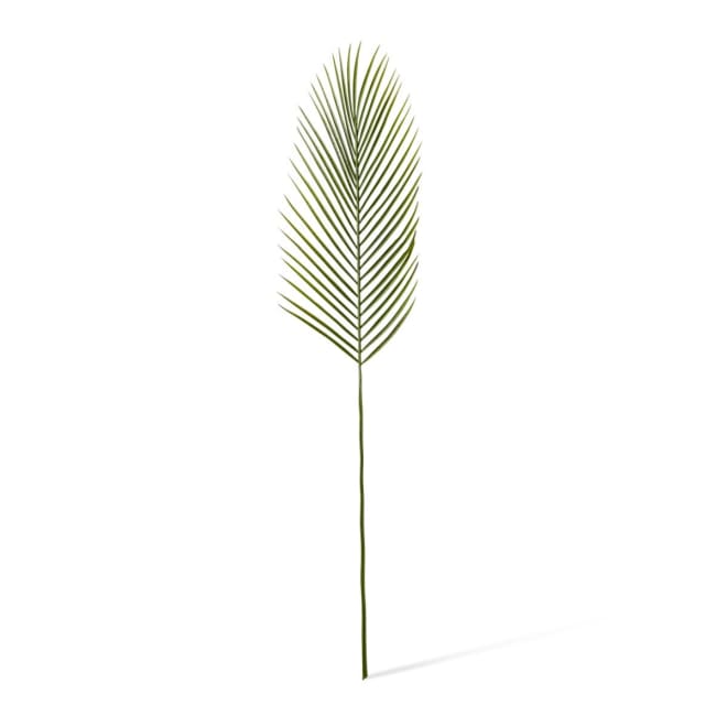 Cycad Leaf Stem Pack Of 24 - Green, 88cm (H)