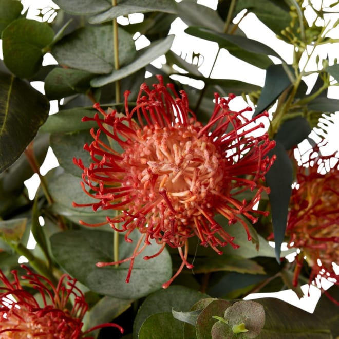 Pin Cushion Mix in Tillie Vase - Orange, 57cm (H)