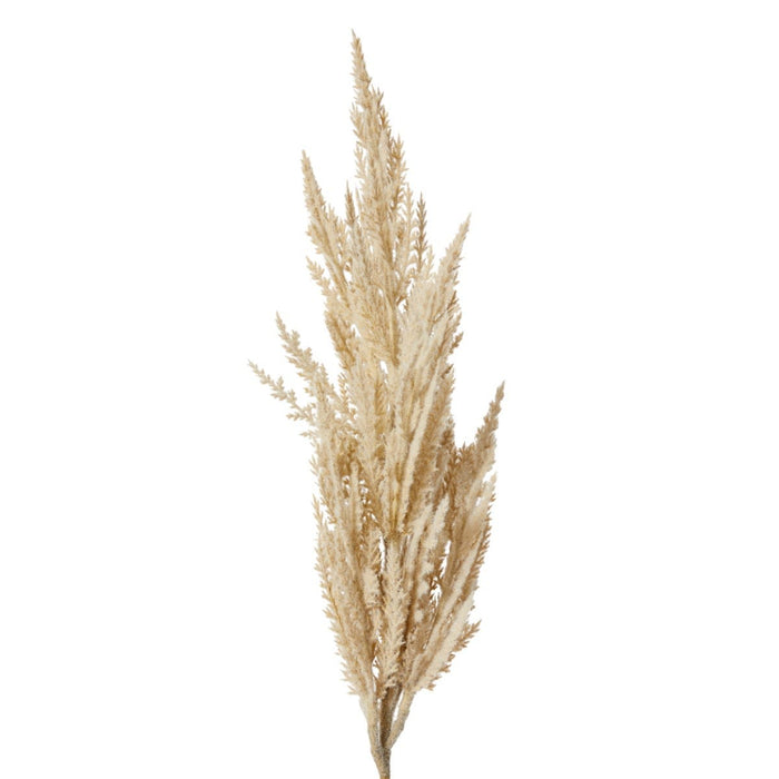 Pampas Grass Stem Pack of 12 - Beige, 83cm (H)