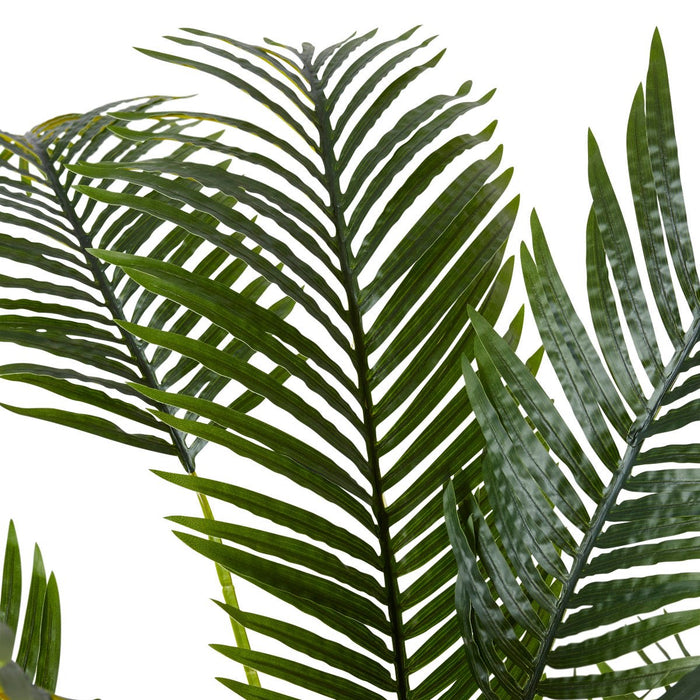 Palm Areca - Green, 170cm (H)