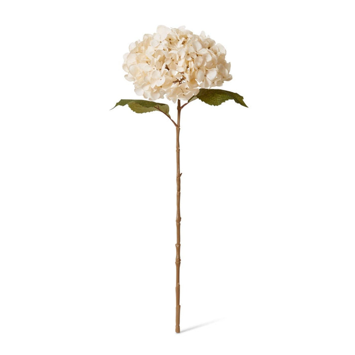 Hydrangea Decor Stem Pack of 12 - Ivory, 66cm (H)