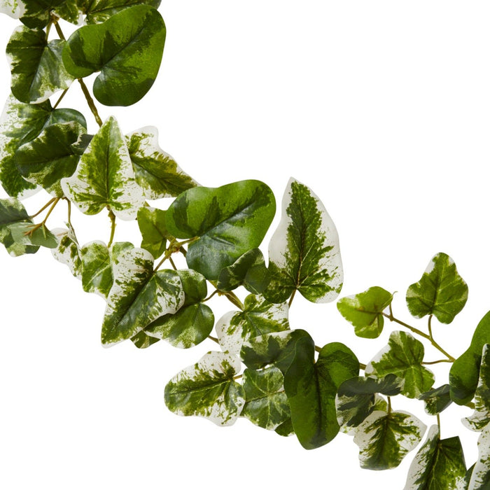 Ivy Kangaroo Garland - Variegated, 180cm (H)