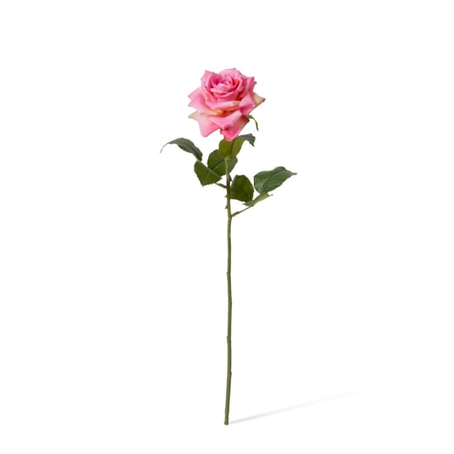 Rose Classic Stem Pack Of 12 - Pink, 46cm (H)