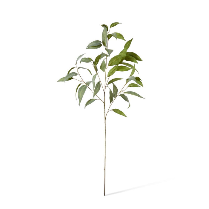 Eucalyptus Spray Pack of 12 - Grey Green, 94cm (H)