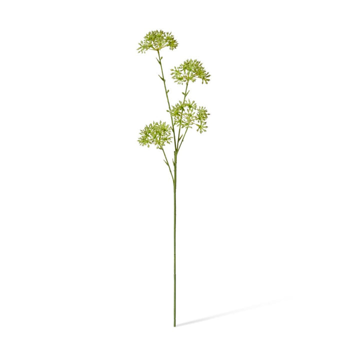 Seeding Nut Spray Pack of 12 - Green, 58cm (H)