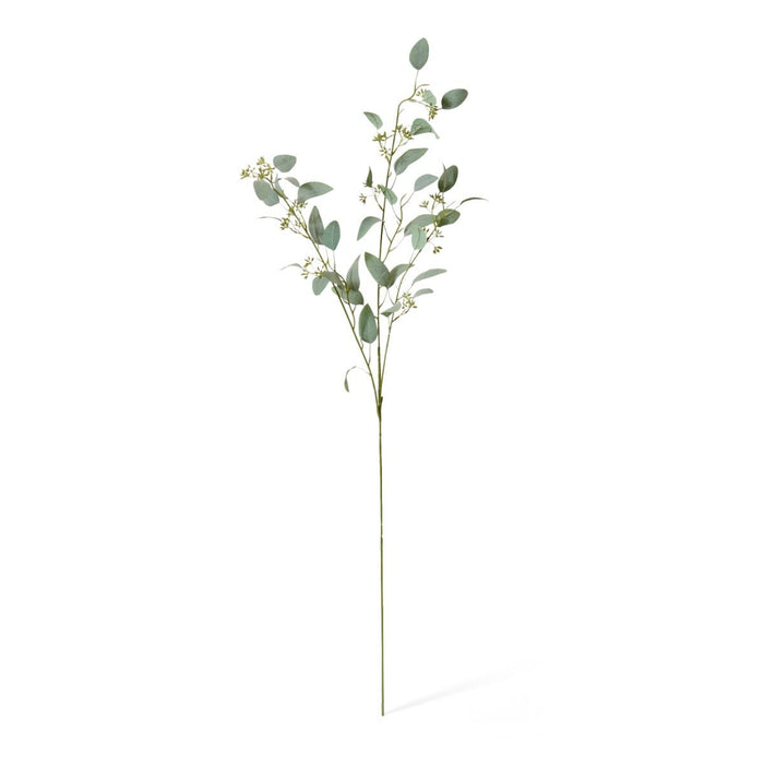 Eucalyptus Seed Spray Pack of 12 - Grey Green, 75cm (H)