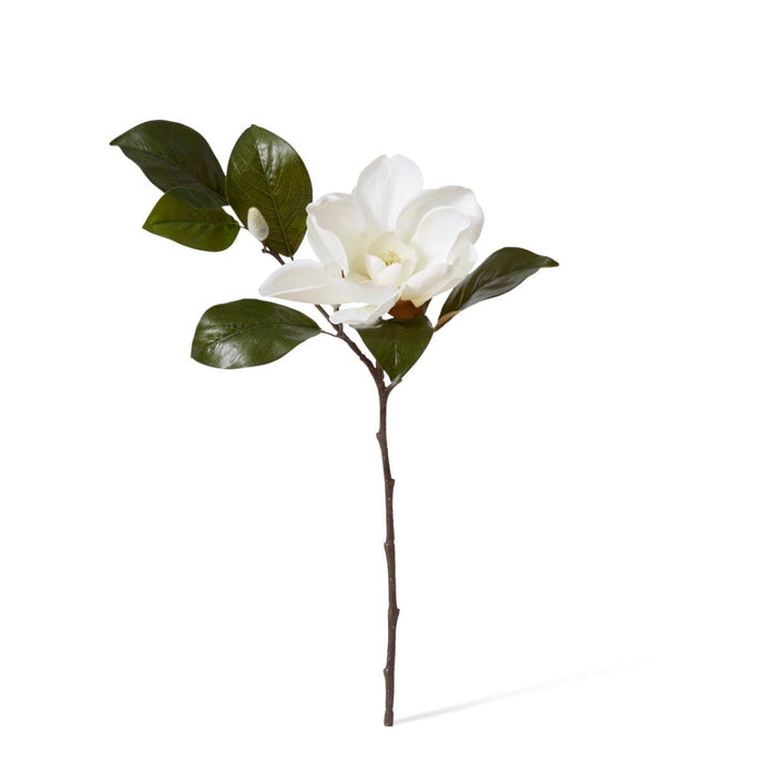 Magnolia Flower Spray Pack of 12 - White, 81cm (H)