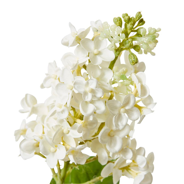 Lilac Spray Pack of 12 - White, 66cm (H)