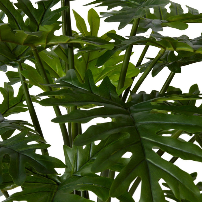 Philodendron Potted - Green, 90cm (H)