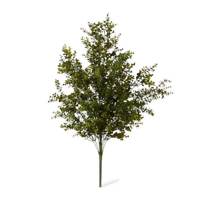 Hedge Bush Pack of 4 - Green, 78cm (H)