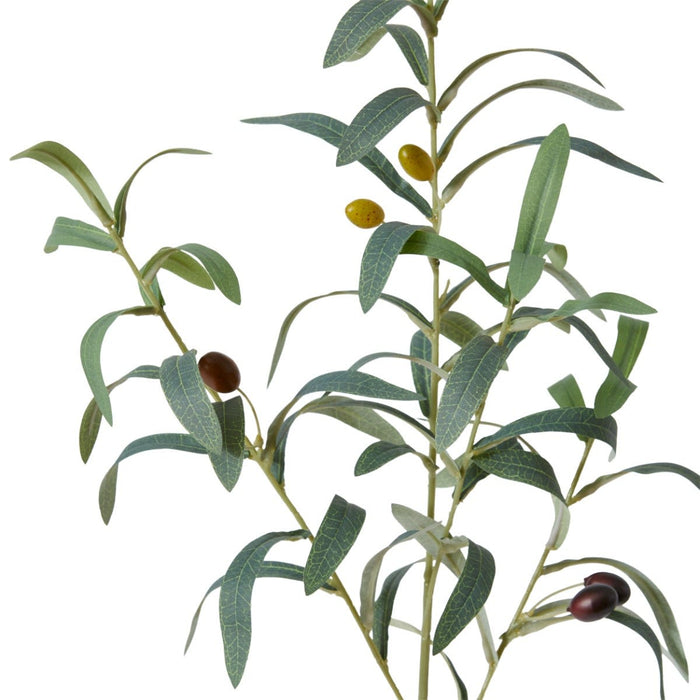 Olive Spray Pack of 12 - Grey Green, 81cm (H)