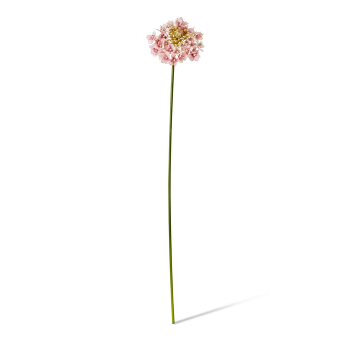 Star Flower Stem Pack of 12 - Pink, 76cm (H)